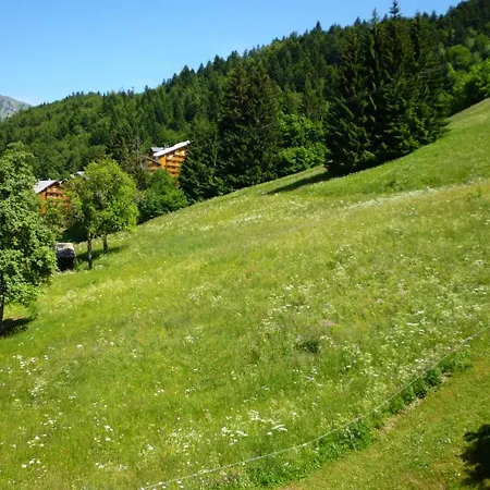 Apartment Cosy A 50m Des Pistes, 2 Pieces, 4 Couchages - Fr-1-573-84 *